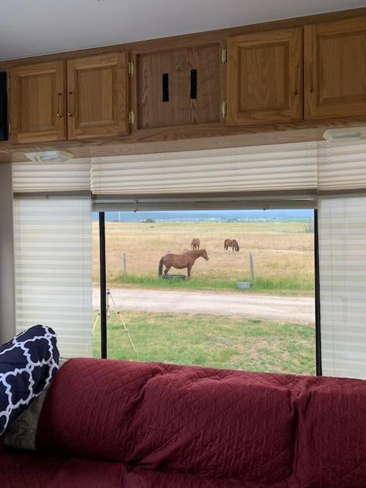 Appartement Mission Mountain Camper Saint Ignatius